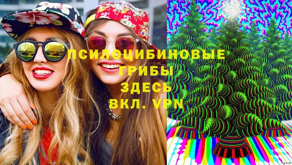 марки lsd Богородицк